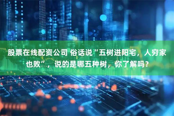 股票在线配资公司 俗话说“五树进阳宅，人穷家也败”，说的是哪五种树，你了解吗？