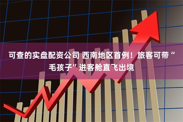 可查的实盘配资公司 西南地区首例！旅客可带“毛孩子”进客舱直飞出境