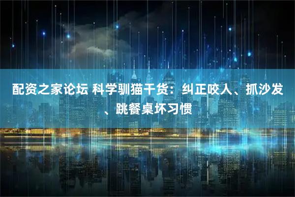 配资之家论坛 科学驯猫干货：纠正咬人、抓沙发、跳餐桌坏习惯