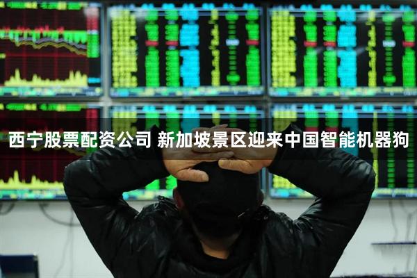 西宁股票配资公司 新加坡景区迎来中国智能机器狗