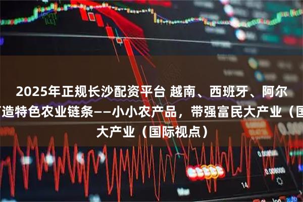 2025年正规长沙配资平台 越南、西班牙、阿尔及利亚打造特色农业链条——小小农产品，带强富民大产业（国际视点）