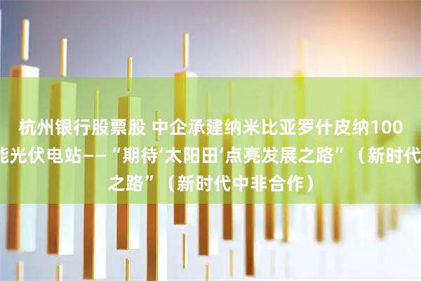 杭州银行股票股 中企承建纳米比亚罗什皮纳100兆瓦太阳能光伏电站——“期待‘太阳田’点亮发展之路”（新时代中非合作）